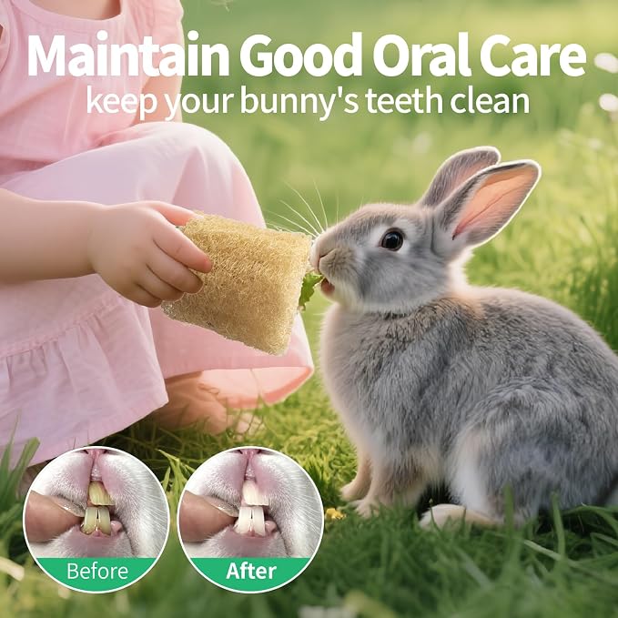 BESNEW 3 PCS Rabbit Chew Toys,100% Natural Loofah Without Additives,Bunny Chew Toys for Teeth,Fiber-Rich Rabbit Treats for Bunny Chinchilla Dogs