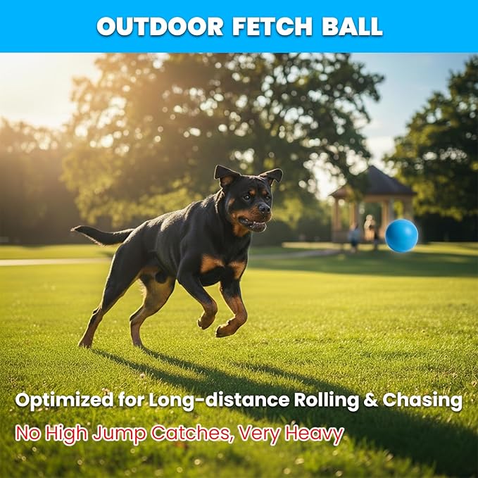 Solid Rubber Dog Ball for Large Medium Dogs - 2.8" Heavy Duty Indestructible Outdoor Fetch Toy for Training - Bouncy 100% Natural Rubber Ball for Aggressive Chewers, Durable Tough Yet Soft