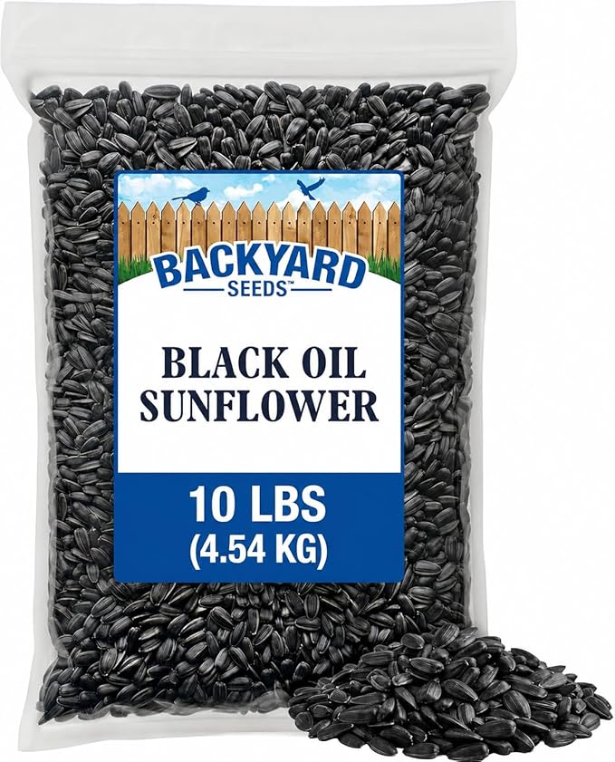 Backyard Seeds Black Oil Sunflower Seeds for Wild Birds 10lbs - Thin Shells, Premium Cardinal Food, Small Bag of Black Oil Sunflower Seeds