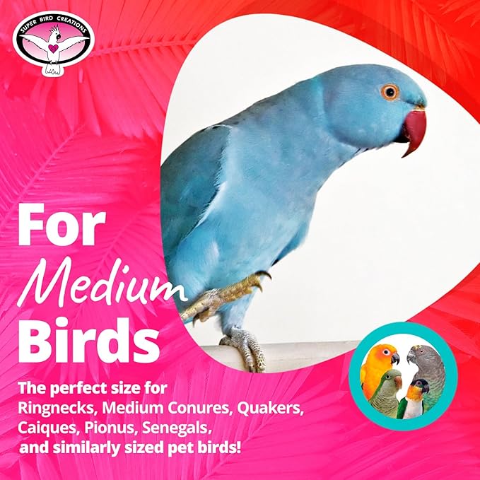 Super Bird Creations SB1202 Small Rainbow Aglets Bird Toy - Satisfies Chewing and Preening Instincts of Parrots Ringnecks, Medium Conures, Quakers - Encourages Curiosity - Ideal for Medium Bird Size
