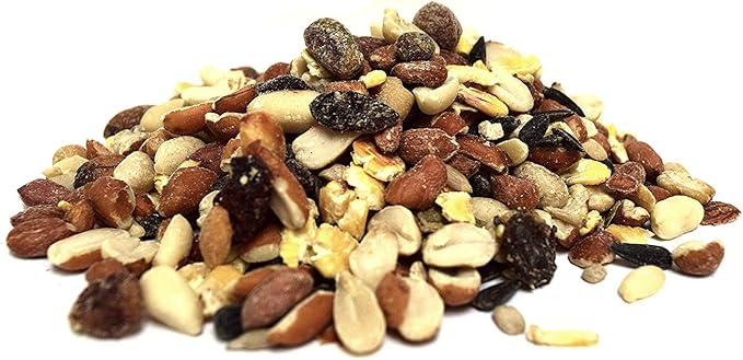 Lyric Fruit and Nut Wild Bird Seed - High Energy Wild Bird Food Mix - Attracts Woodpeckers, Chickadees & Other Songbirds -20 lb. Bag