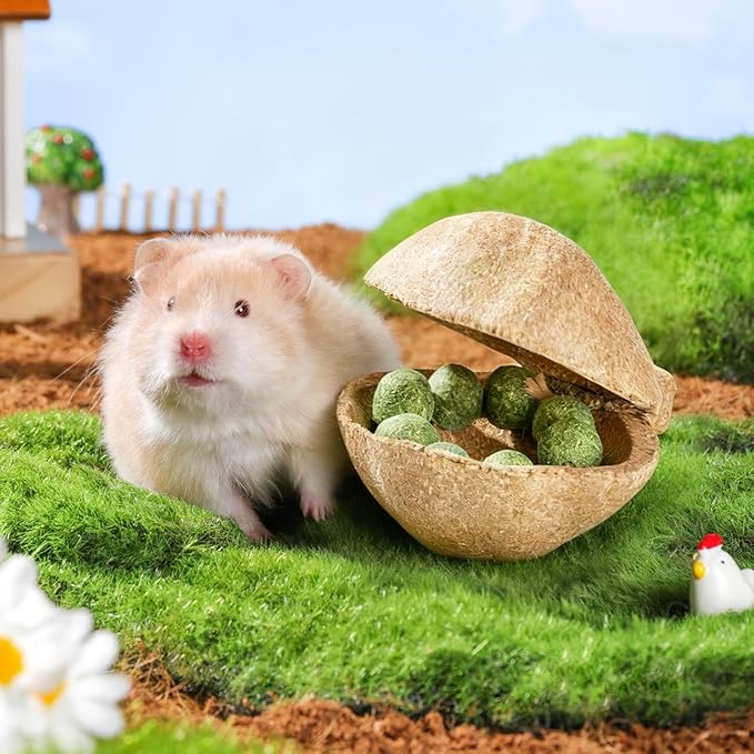 mini&moe Hamster Chew Toys for Teeth – Guinea Pig Chews Natural Edible Hamster Enrichment Toys Improve Dental Health Chinchilla Treats for Gerbils, Rat, Rabbit, Bunny
