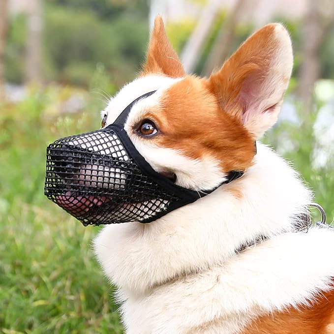 Crazy Felix Dog Muzzle, Soft Mesh Muzzle for Small Medium Large Dogs Labrador German Shepherd, Breathable Adjustable Mouth Guard for Biting Chewing Scavenging, Allows Panting and Drinking(Black,XS+)