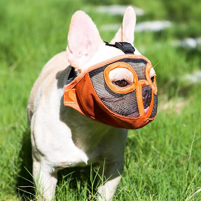 Short Snout Dog Muzzles- Adjustable Breathable Mesh Bulldog Muzzle for Biting Chewing Licking Grooming Dog Mask,Orange(Eyehole) L