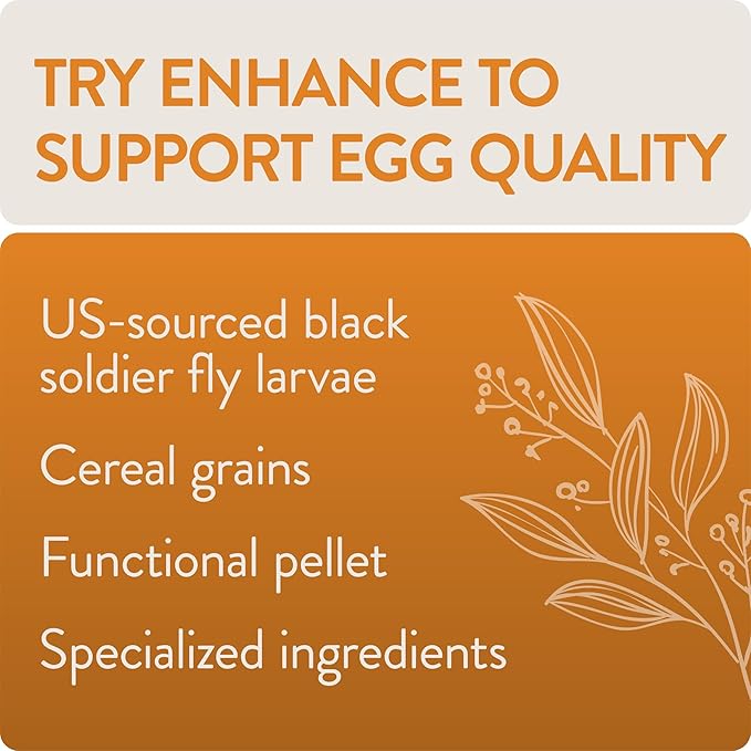 FLOCKLEADER Enhance, Functional Poultry Treats for Egg Production & Quality, 1.5 lb