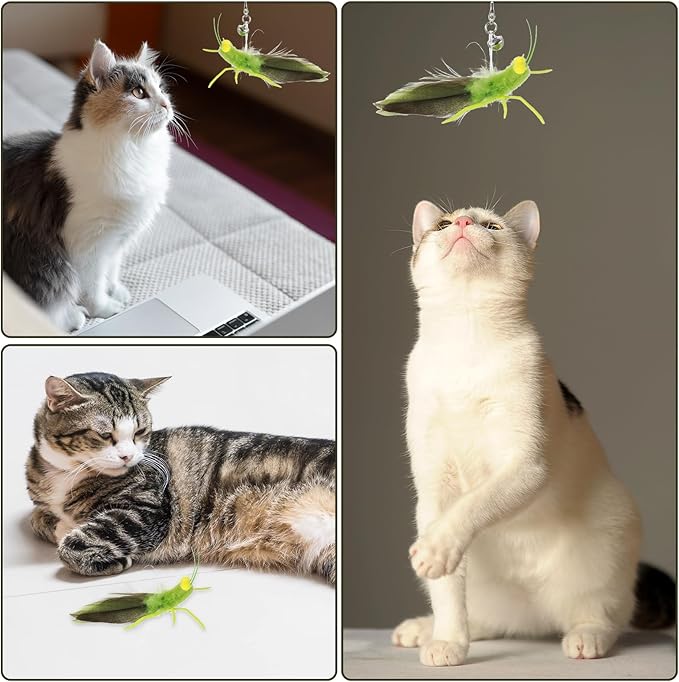 Ptwola Cat Feather Toys Refills 3 Pack Insects Grasshopper Cat Toy Wand Fun Replacement Feathers Small Cats Interactive Toys Hanging Toy Attachments for Indoor Kittens Cats Teaser Wand Accessory