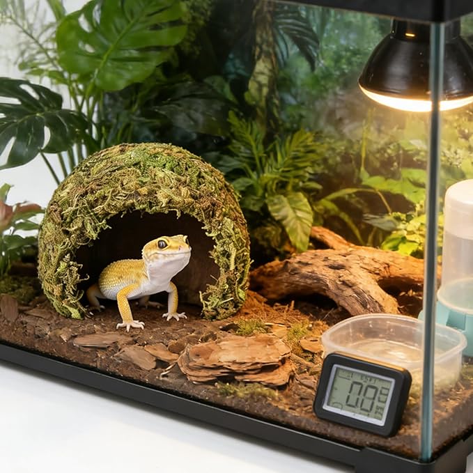 Snake Hide & Reptile Cave - Bearded Dragon Accessories & Leopard Gecko Tank Accessories - Coconut Moss Terrarium Decor & Reptile Supplies for Amphibian Habitats