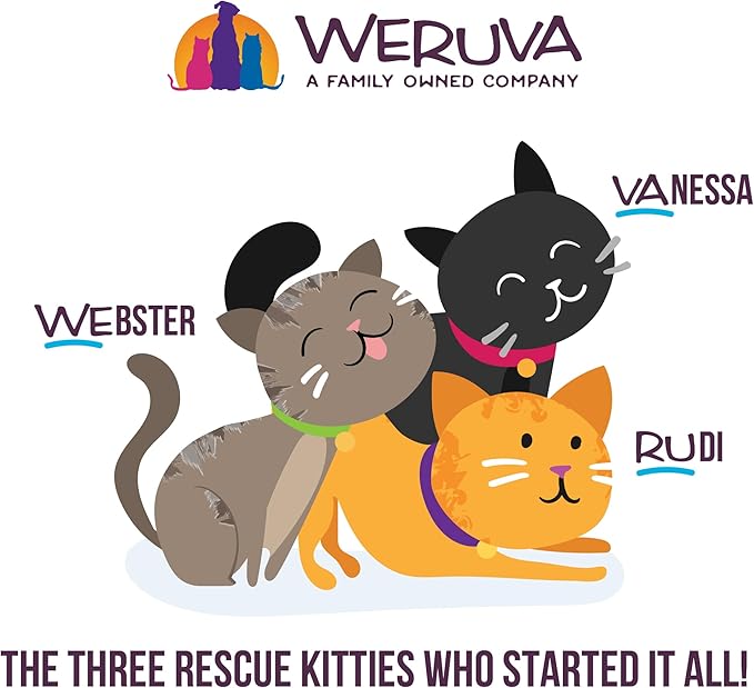 Weruva Wet Cat Food, Love Connection with Chicken and Salmon Pate, 5.5oz Slide N Serve Pouch, Pack of 12
