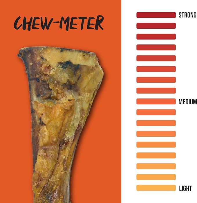 Grillerz Scott Pet Beef Mammoth Bone, 1 Count, Beef Bones for Dogs, Rawhide Free, Dog Chew for Healthy Teeth & Gums, High Protein, Easy to Digest, Long Lasting, Natural Treats for All Breeds