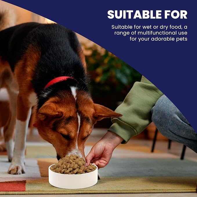 SPOT Standard Crock Dish - Heavy Duty, Non-Slip, Round Ceramic Food/Water Bowl for Pets, Ideal for Medium to Large Dogs or Multiple Animals, Dishwasher Safe - 9.5 in, 8 Cups, (64 Oz)(Pack of 6)