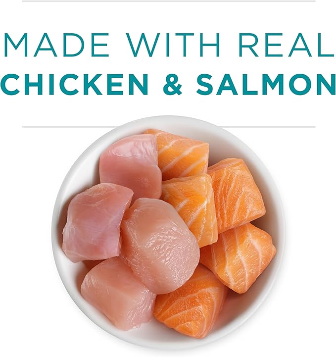 Purina ONE Grain Free, Natural Pate Wet Kitten Food, Healthy Kitten Chicken & Salmon Recipe - (Pack of 24) 3 oz. Pull-Top Cans