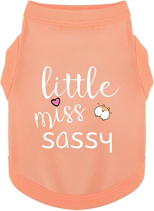 Paiaite Dog Clothes Fashionable Sleeveless Pet Vest: 'Little Miss Sassy' Printed Cotton Dog Shirt, Ideal for Small, Medium, and Large Breeds, Ensuring Comfort and Breathability Orange Pink 3XL
