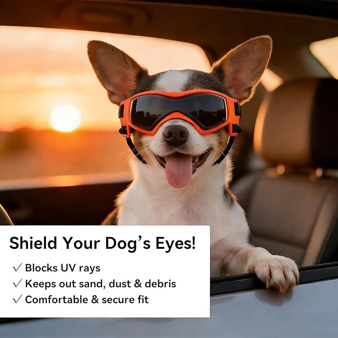 Dog Sunglasses for Extra Small Breed UV Protection Windproof XS Dog Goggles with Adjustable Head & Chin Straps for Ride Car/Hiking Travel/On Beach-Orange