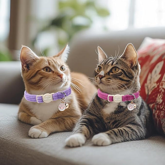 2 Pack Corduroy Cat Collars - Cute Breakaway Cat Collar with Bell and Paw Pendant, Soft Adjustable Fall Winter Kitten Collars for Girl Boy Cats, Lavender&Fuchsia