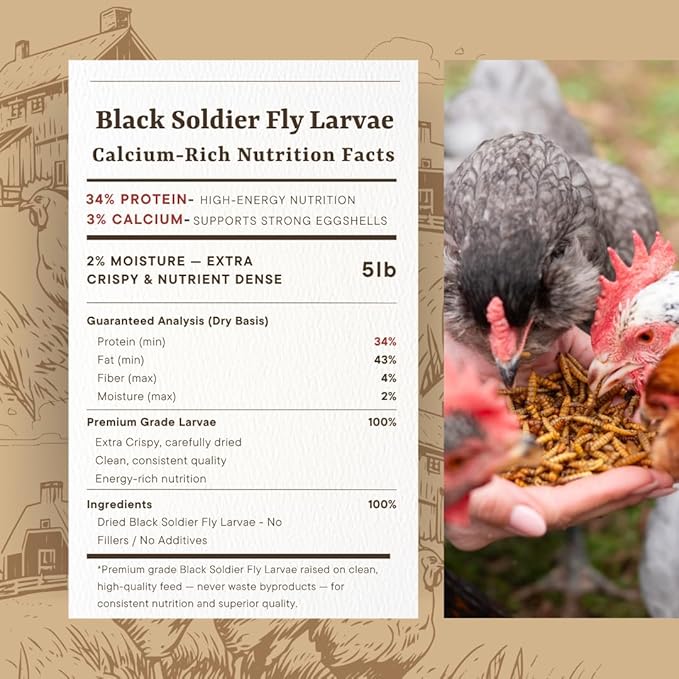 Black Soldier Fly Larvae for Chickens – High Calcium Chicken Treats for Strong Eggshells & Egg Production – Dried BSFL Grubs Poultry Feed for Ducks, Wild Birds & Backyard Flocks, 5lb