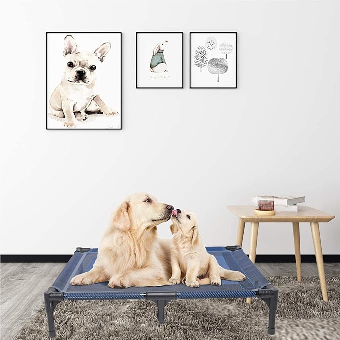 suddus Elevated Dog Bed Waterproof Outdoor, Portable Raised Dog Bed, Dog Beds Off the Floor, Dogs Bed Easy Clean Indoor or Outdoor Use, Medium, Blue