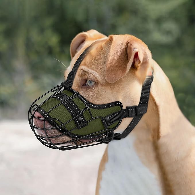 OOPSDOGGY Pitbull Dog Muzzle Reflective Metal Mask Secure Wire Basket Muzzles for Large Sized Dogs Amstaff Soft Cage to Prevent Biting Chewing with Adjustable Nylon Straps (Green, Pitbull)