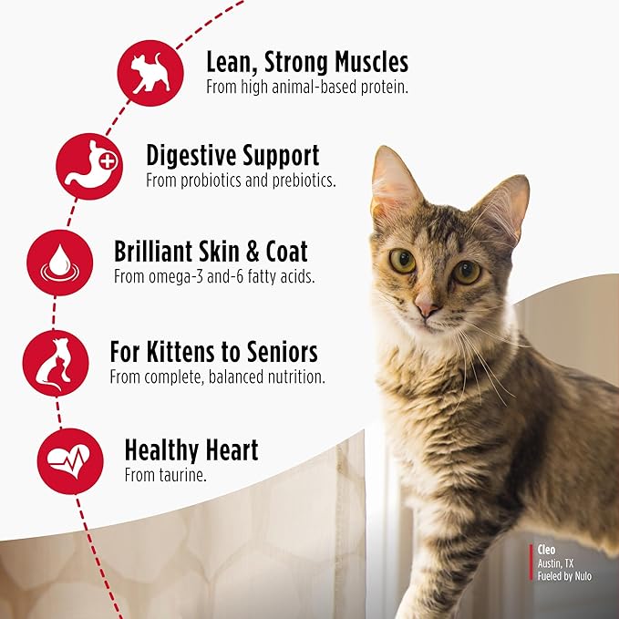 Nulo Freestyle Cat & Kitten Dry Food - Turkey & Duck Recipe, High Protein Grain Free Cat Food, Natural Kibble with Probiotics & Omega Fatty Acids, 4lb Bag