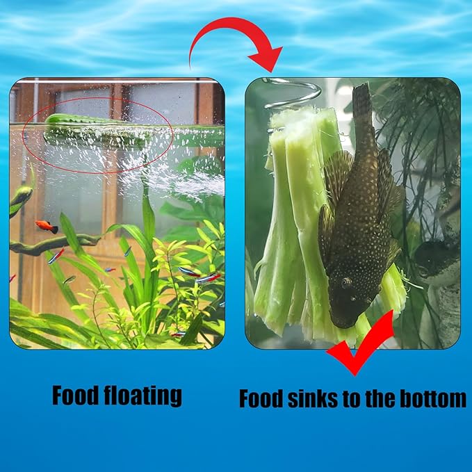 Fish Tank Aquarium Vegetarian Feeder, Aquarium Stainless Steel Sinking/Hanging/Benthic Fish/Loach/Malawi Cichlid/Snail Feeder with Suction Cup and Recycling Line