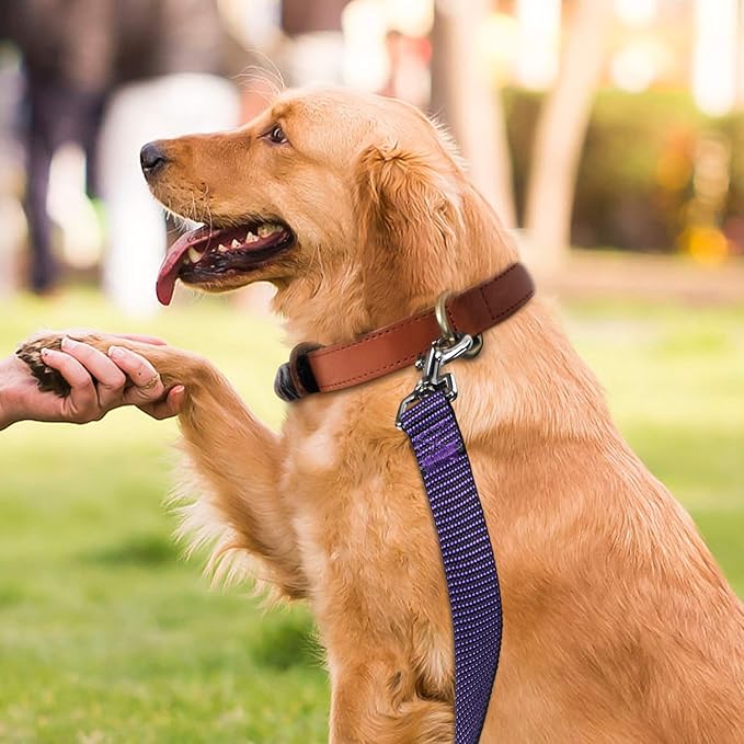 Hi Kiss Dog/Puppy Obedience Recall Training Agility Lead - 15ft 20ft 30ft 50ft 100ft Training Leash - Great for Training, Play, Camping, or Backyard(20ft,Black_Purple)