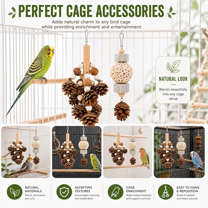 2 Pack Natural Bird Toys for Parakeets & Cockatiels, Pinecone Chew Swing and Sola Ball Hanging Toy, Shredding & Foraging Cage Accessories for Budgies, Conures, Lovebirds