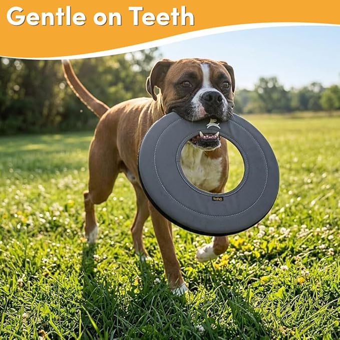 OllyDog Super Flyer, Floating Dog Disc for Water Play – Soft Durable Dog Fetch Toy, Eco-Friendly Recycled Material, Gentle on Teeth, Lightweight Flying Disc for Medium, Large Dogs (Castle Rock, 11")