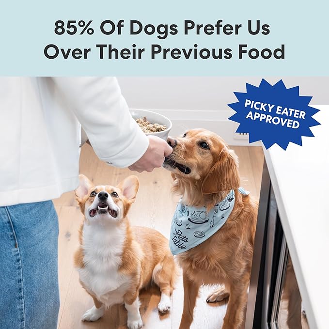 The Pets Table Human-Grade Beef Stew Fresh Dog Food, Dog Food Topper or Complete Meal, 6 Count of 15-oz Pouches, 5.5lbs