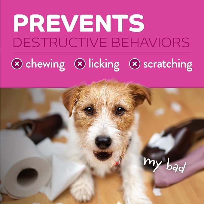 TropiClean No Chew Spray for Dogs, Better Than Bitter Apple Spray, Safe & Natural Chew + Lick Deterrent, Protect Home, Hot Spots & More! 8oz