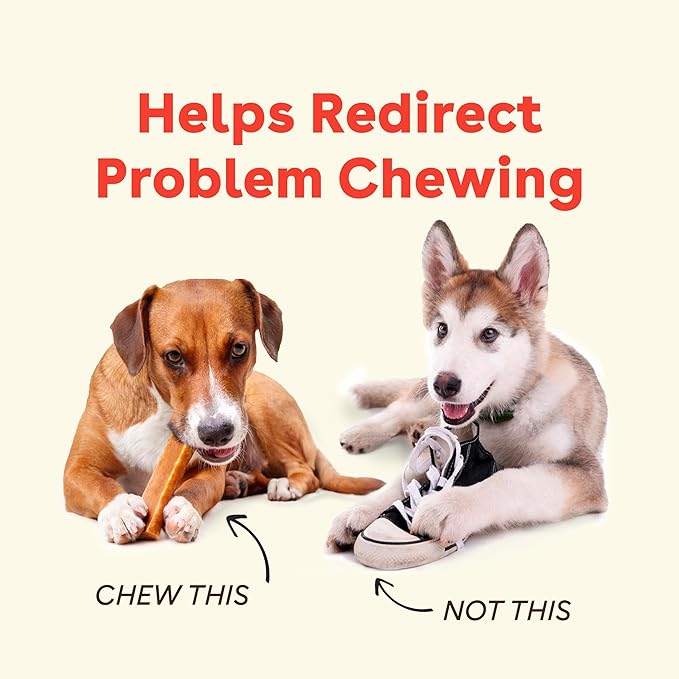 Pupford Yak Cheese Chews for Dogs & Teething Puppies, Natural, Long-Lasting Himalayan Dental Treats (3 Pack Small)