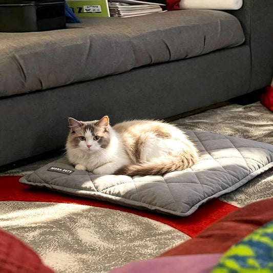 Mora Pets Self Heating Cat Bed Self Warming Cat Pad Thick Thermal Pet Bed Mat 24 x 18 Inches with Removable Cover Machine Washable Ultra Warm Mat for Outdoor Indoor Cats and Small Dogs