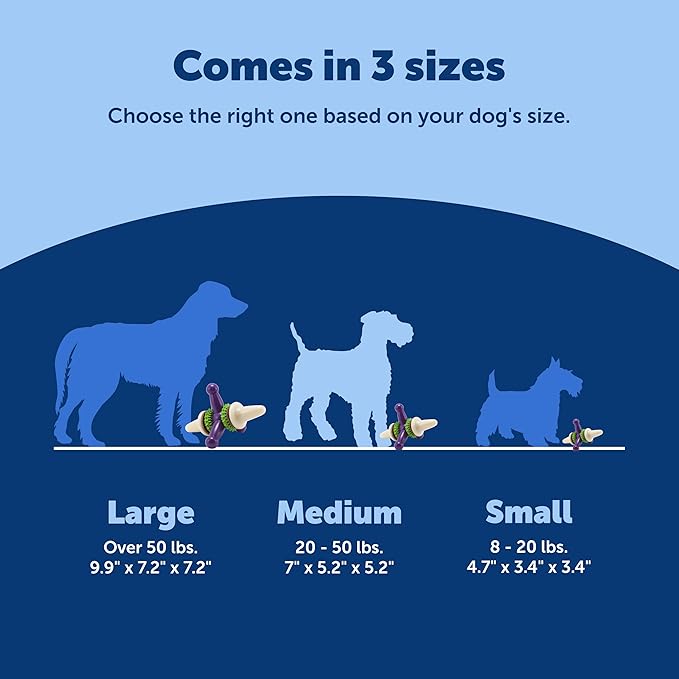 PetSafe Busy Buddy Jack - Treat Holding Dog Chew Toys - Helps Clean Teeth - Vanilla Scented Rubber for Strong Chewers - Treat Refills Included, Interactive Dog Toy Helps Keep Dogs Busy, Purple, Medium