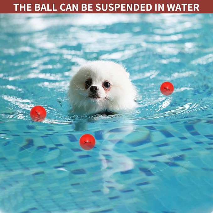 Dog Balls Indestructible,Solid Rubber Bouncy for Dogs Aggressive Chewers Small Breed,Non-Toxic&Floating&High Elasticity,Durable Fetch Ball Small to Chew,Play and Training