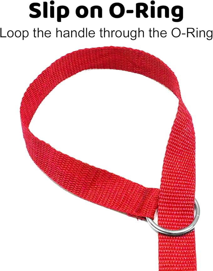 Downtown Pet Supply - 6ft Dog Kennel Slip Lead - Veterinarian, Grooming, Daycare & Rescue Supplies - One Size Leads for Dogs - 1" Thick - 12 Pack