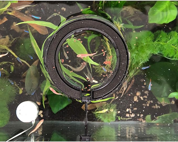 E-outstanding 2pcs Fish Feeding Ring Tropical Fish Food Ring Aquarium Fish Tank Accessories Water Plant Buoyancy Suction Cup (1 x Round Shape and 1 x Square Shape), Black