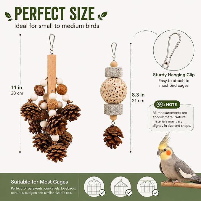 2 Pack Natural Bird Toys for Parakeets & Cockatiels, Pinecone Chew Swing and Sola Ball Hanging Toy, Shredding & Foraging Cage Accessories for Budgies, Conures, Lovebirds