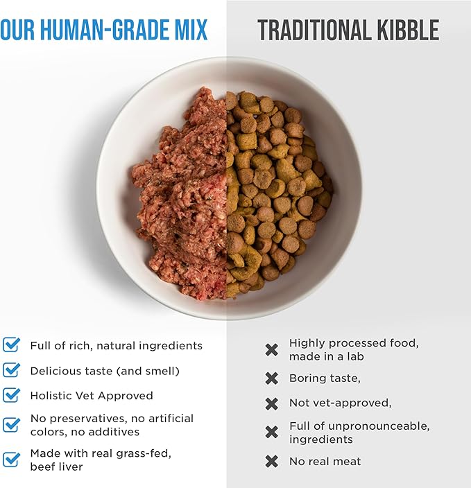 Know Better Beef Recipe Homemade Dog Food Premix - Complete Raw or Homemade Dog Meal Mix for Small Dogs - Puppies & Adults - Easy-to-Prepare Balanced Nutrition - Pet Supplies - 24 Oz