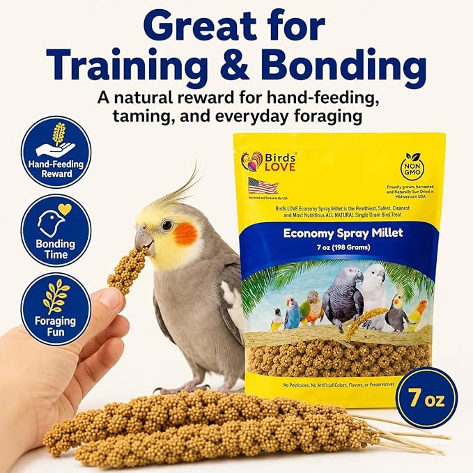 Birds LOVE Economy Special Spray Millet GMO-Free (No Stems Only Edible Tops) for Birds Cockatiel Lovebird Parakeet Finch Canary All Parrots Healthy Treat - 7oz