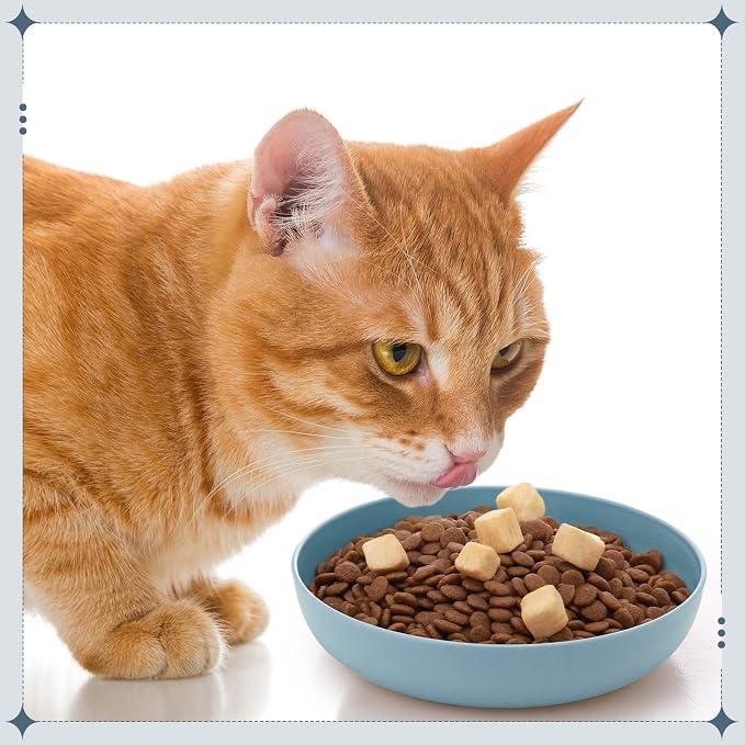 Tioncy 24 Pcs Cat Food Bowl 5.5'' Fatigue Relief Shallow Cat Food Dish Wide and Small Pet Wet Plate Wide Stray Wet Feeding Bowl for Ferrets Feral Short Legged Kitten, Wheat Straw(Three Color,Classic)
