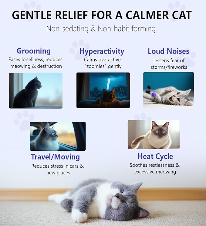Calming Drops for Cats, Helps to Manage Stress & Anxiety, with Pheromones that May Help Curb Destructive Behavior & Separation Anxiety, Health Supplement for Cats, Sedative-Free, 2 floz