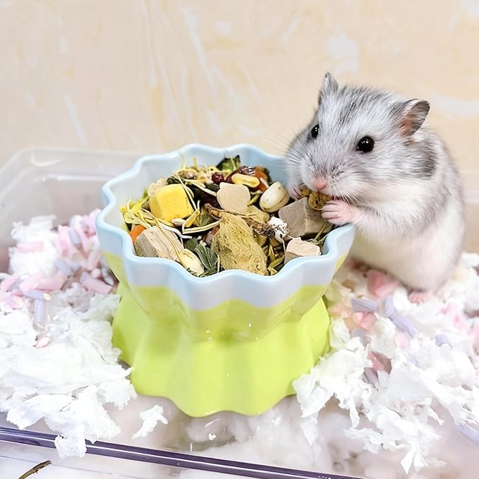 Ceramic Hamster Food Bowl Elevated Hamster Bowl Non-Tip Rat Feeding Dish with Water Bottle for Dwarf Gerbil Mouse Mice Sugar Glider (Green)