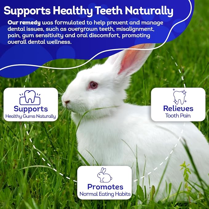 HealthyAnimals4Ever HA4E - Rabbit Dental Problems Treatment - Preventive Care for Dental Issues & Overgrown Teeth - Promotes Oral Health - Natural Homeopathic Tablets - 300 Count
