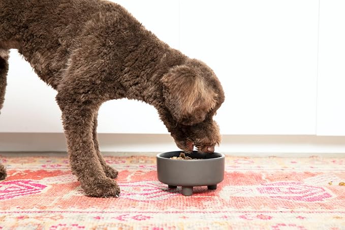 Waggo Uplift Ceramic Dog Bowl for Small Medium and Large Breeds - Heavyweight and Durable Pet Food and Water Dish Crock, Dishwasher Safe, Modern, Elevated Feeder (Teracotta, Large)