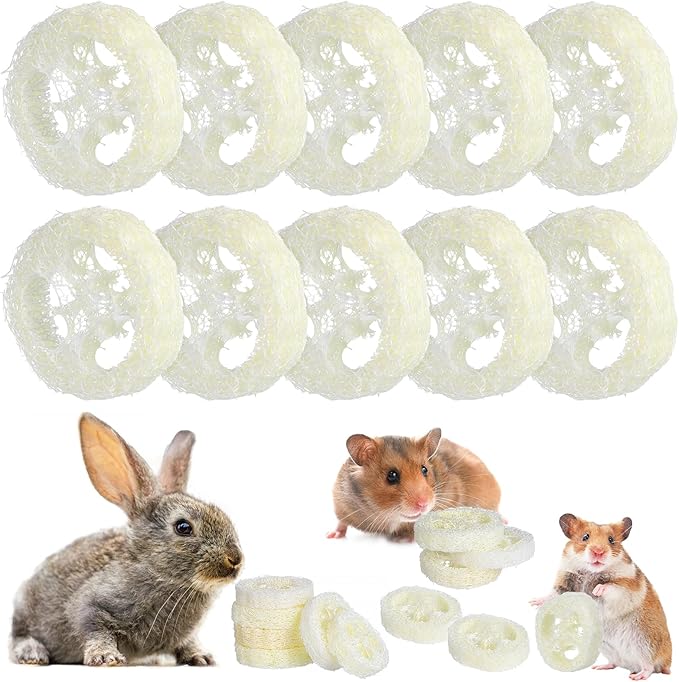 Toddmomy Rabbit Chew Toys 20pcs Loofah Teeth Grinding Toys Small Animal Tooth Cleaning Tools for Guinea Pig Chinchilla Hamster
