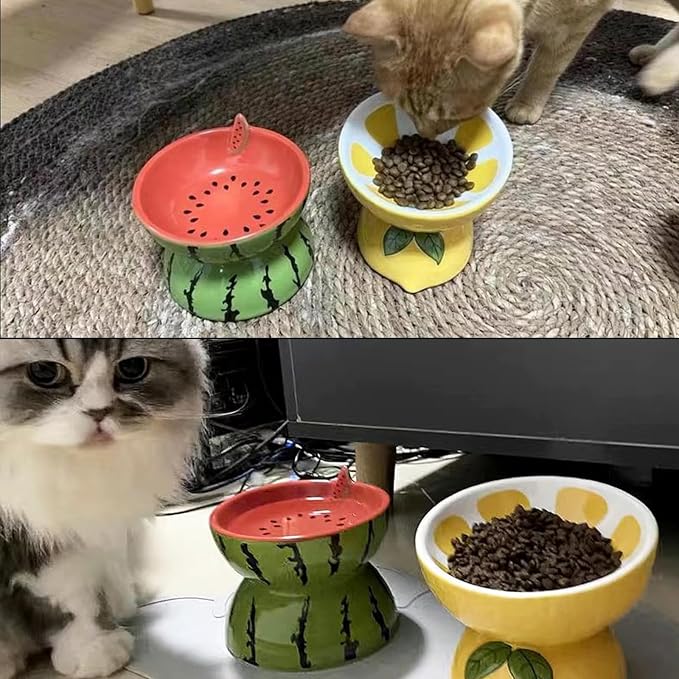 Hamiledyi Ceramic Raised Cat Bowl 2PCS Anti Vomiting Elevated Tilted Cat Food & Water Bowls Pet Feeder Dish for Indoor Kitty and Small Dogs (Watermelon & Lemon)