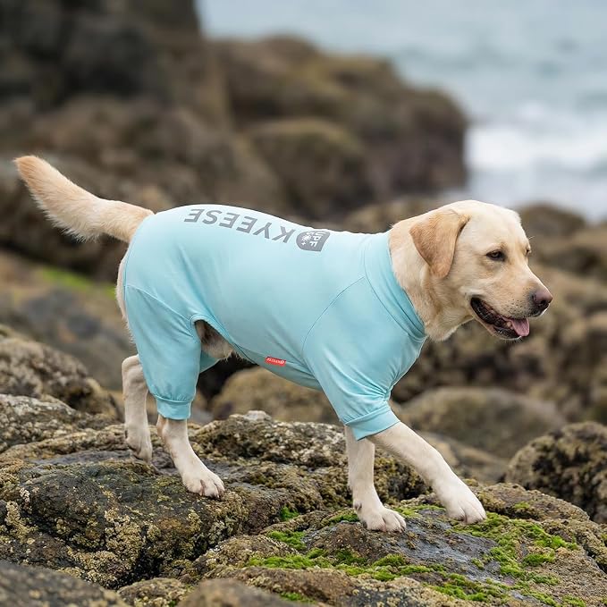 KYEESE UV Protection Dog Shirt, UPF 50+ Cooling Summer Jumpsuit for Medium Large Dogs, Breathable Reflective Shedding Control Dog Sun Shirts, Quick-Dry Dogs Onesie Pet Clothes, Blue, 2XL