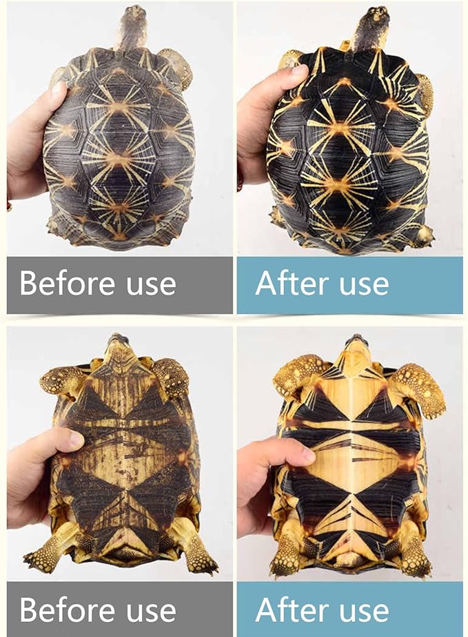 Reptile Cleaner - Turtle Habitat Cleaning Product, Turtle Care Shell Treatmeent | Reptile Shell Spray 120ml Tortoise Cleaner Safe Tortoise with Soft Brush Head for Easy Cleaning