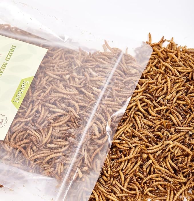 SANSECT 10 LB Dried Mealworms, 100% Natural, Non-GMO Mealworms for Chickens-High Protein Treats for Chickens, Ducks, Wild Birds