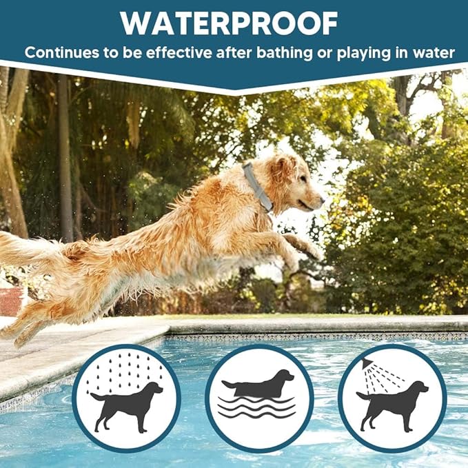 Flea Collar for Large Dogs,Dog Flea Collar,Natural Flea & Tick Collar,Tick and Flea Collar for Dogs,Adjustable Soft Fit,Simple to Use,People/Pet/Plant Friendly-2P (2 Ounce (Pack of 2))