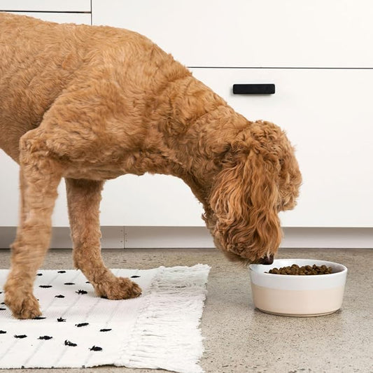 Waggo Dipper Ceramic Dog Bowl for Small and Large Breeds - Heavyweight and Durable Pet Food and Water Dish Crock, Dishwasher Safe, Modern (Buttercream, Medium)