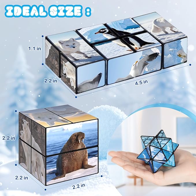 Euclidean Cube 2 in 1 Magic Cube Set, Fidget Toy for Kids Adults, Yoshimoto Cube for Ages 8-12, Arctic/Antarctic Animals Puzzle Cube Fun Toy for Boys Girls (Polar Series)
